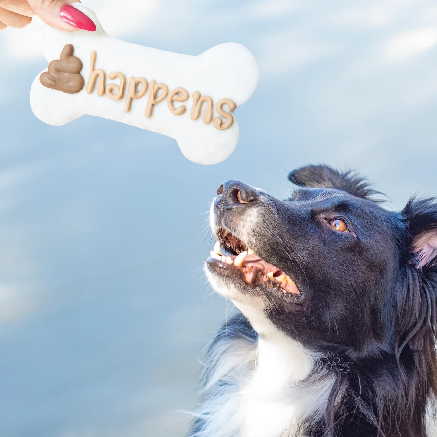 Bosco and Roxy's - SH*T HAPPENS Dog Treat - EVERYDAY NATURALS - 15CM (6in) (BULK)