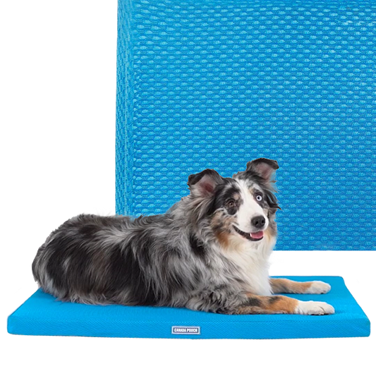 *DISC* Canada Pooch - Chill Out Cooling Mat - BLUE - 81.5x61CM (32x24in)