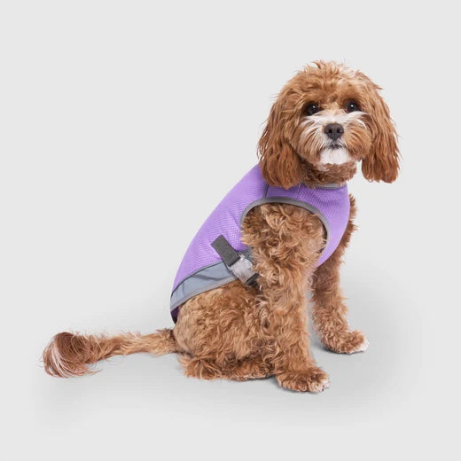 *DISC* Canada Pooch - Chill Seeker Cooling Vest Wet Reveal - PURPLE SMILEY - Size 18