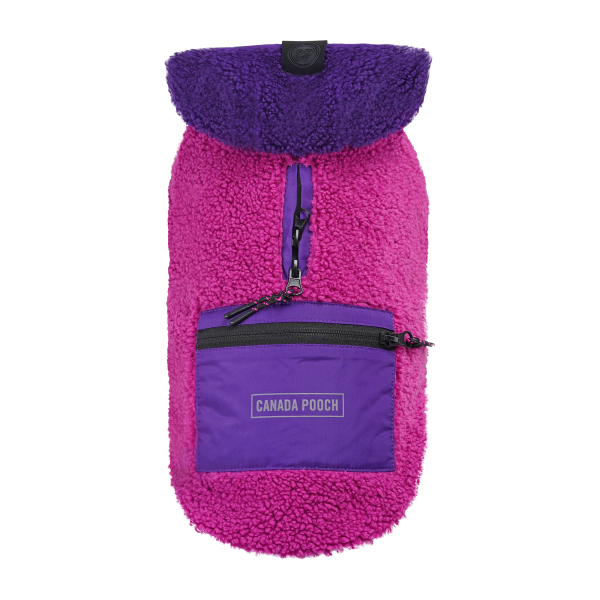 *DISC* Canada Pooch - Cool Factor Hoodie - PINK & PURPLE - Size 16