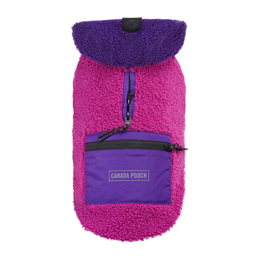 *DISC* Canada Pooch - Cool Factor Hoodie - PINK & PURPLE - Size 16
