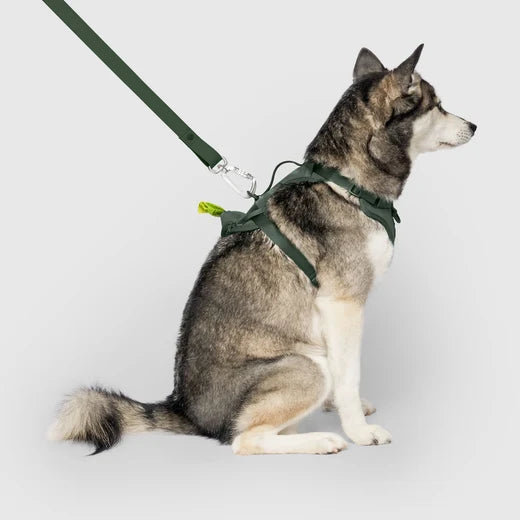 *DISC* Canada Pooch - Core Everything Harness with Poop Bag Dispenser - FOREST GREEN - XLARGE