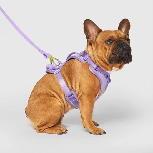 *DISC* Canada Pooch - Core Everything Harness with Poop Bag Dispenser - LAVENDER - SMALL