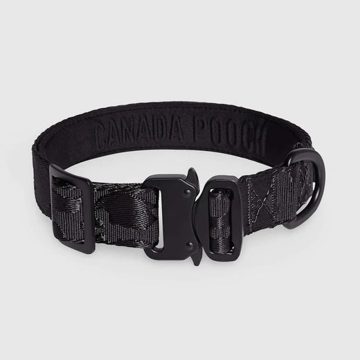 *DISC* Canada Pooch - Core Utility Collar - BLACK CAMO - MEDIUM