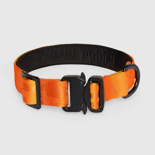 *DISC* Canada Pooch - Core Utility Collar - ORANGE CAMO - SMALL
