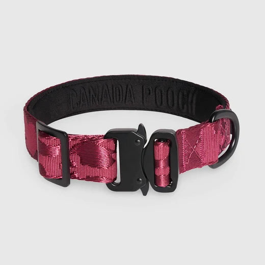 *DISC* Canada Pooch - Core Utility Collar - PLUM CAMO - SMALL