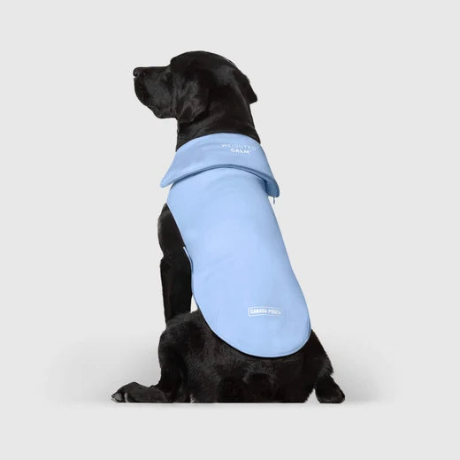 *DISC* Canada Pooch - Core Weighted Calming Vest - BLUE - SMALL