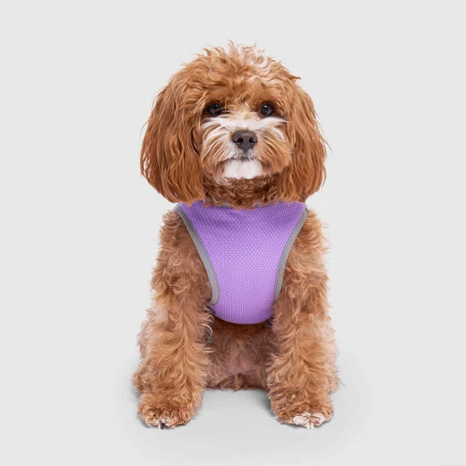 *DISC* Canada Pooch - Chill Seeker Cooling Vest Wet Reveal - PURPLE SMILEY - Size 18