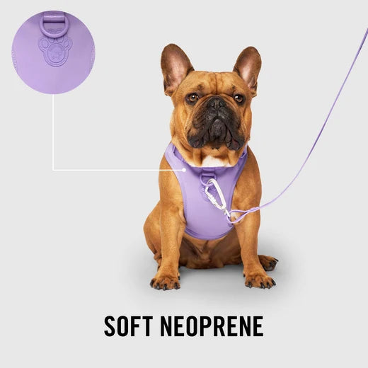 *DISC* Canada Pooch - Core Everything Harness with Poop Bag Dispenser - LAVENDER - SMALL