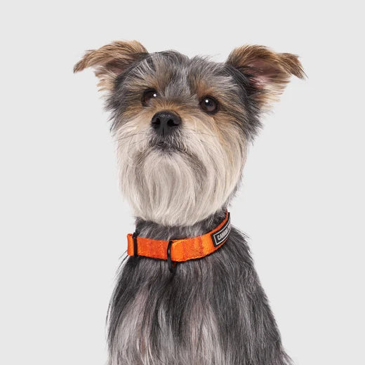 *DISC* Canada Pooch - Core Utility Collar - ORANGE CAMO - SMALL