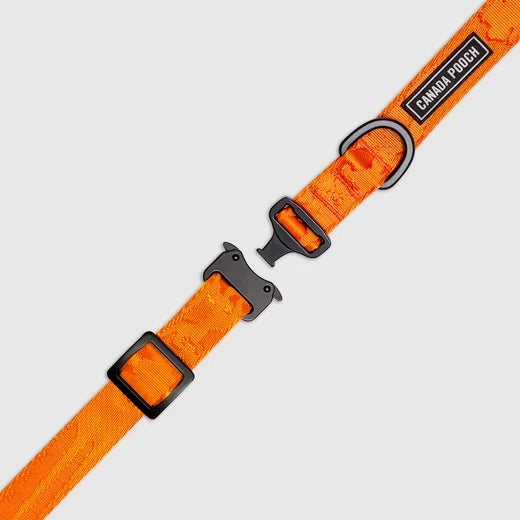 *DISC* Canada Pooch - Core Utility Collar - ORANGE CAMO - SMALL