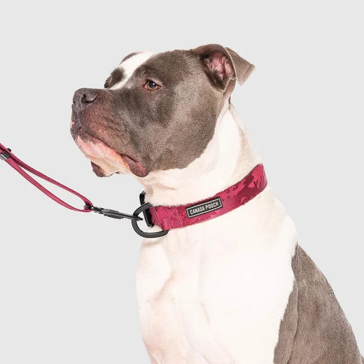 *DISC* Canada Pooch - Core Utility Collar - PLUM CAMO - SMALL