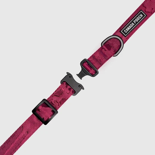 *DISC* Canada Pooch - Core Utility Collar - PLUM CAMO - SMALL