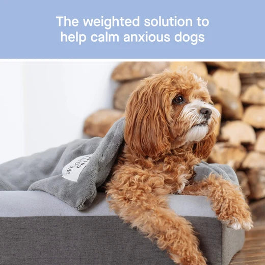 *DISC* Canada Pooch - Core Weighted Calming Blanket - GREY - LARGE - 101.5x101.5CM (40x40in)