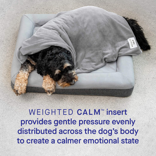 *DISC* Canada Pooch - Core Weighted Calming Blanket - GREY - LARGE - 101.5x101.5CM (40x40in)