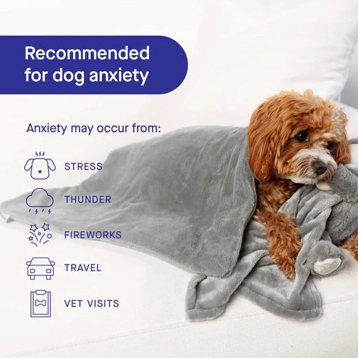 *DISC* Canada Pooch - Core Weighted Calming Blanket - GREY - LARGE - 101.5x101.5CM (40x40in)