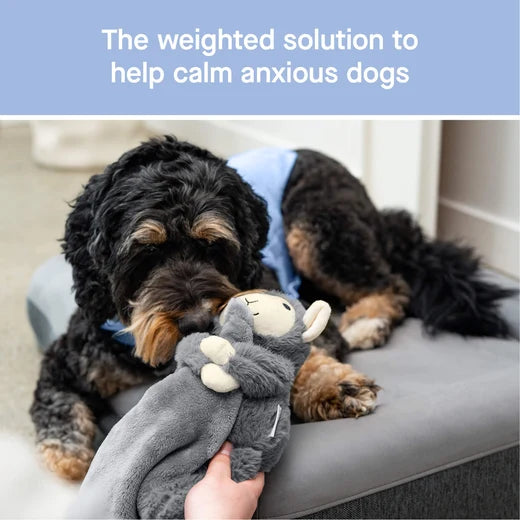 *DISC* Canada Pooch - Core Weighted Calming Toy - LAMB - GREY - S/M