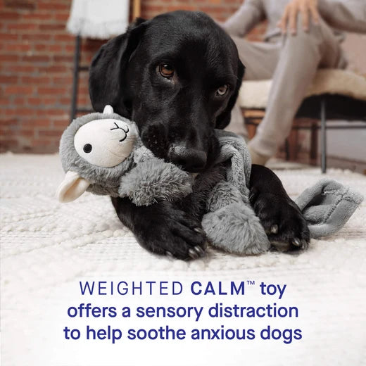 *DISC* Canada Pooch - Core Weighted Calming Toy - LAMB - GREY - S/M