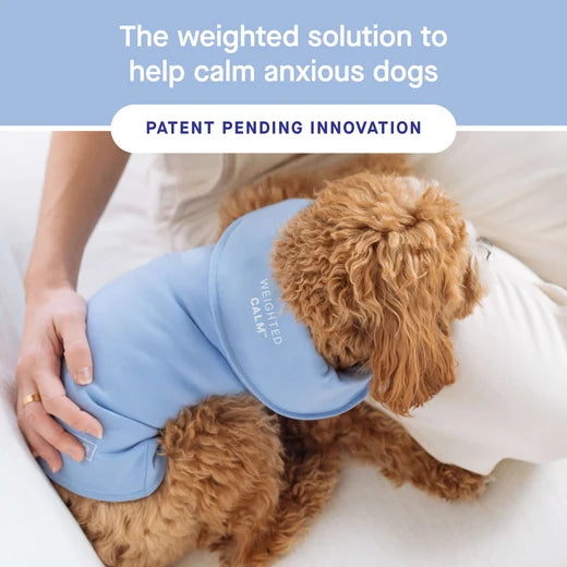 *DISC* Canada Pooch - Core Weighted Calming Vest - BLUE - SMALL