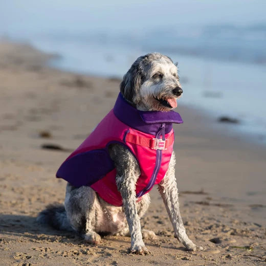 *DISC* Canada Pooch - High Tide Life Jacket - PINK/PURPLE - Size 16