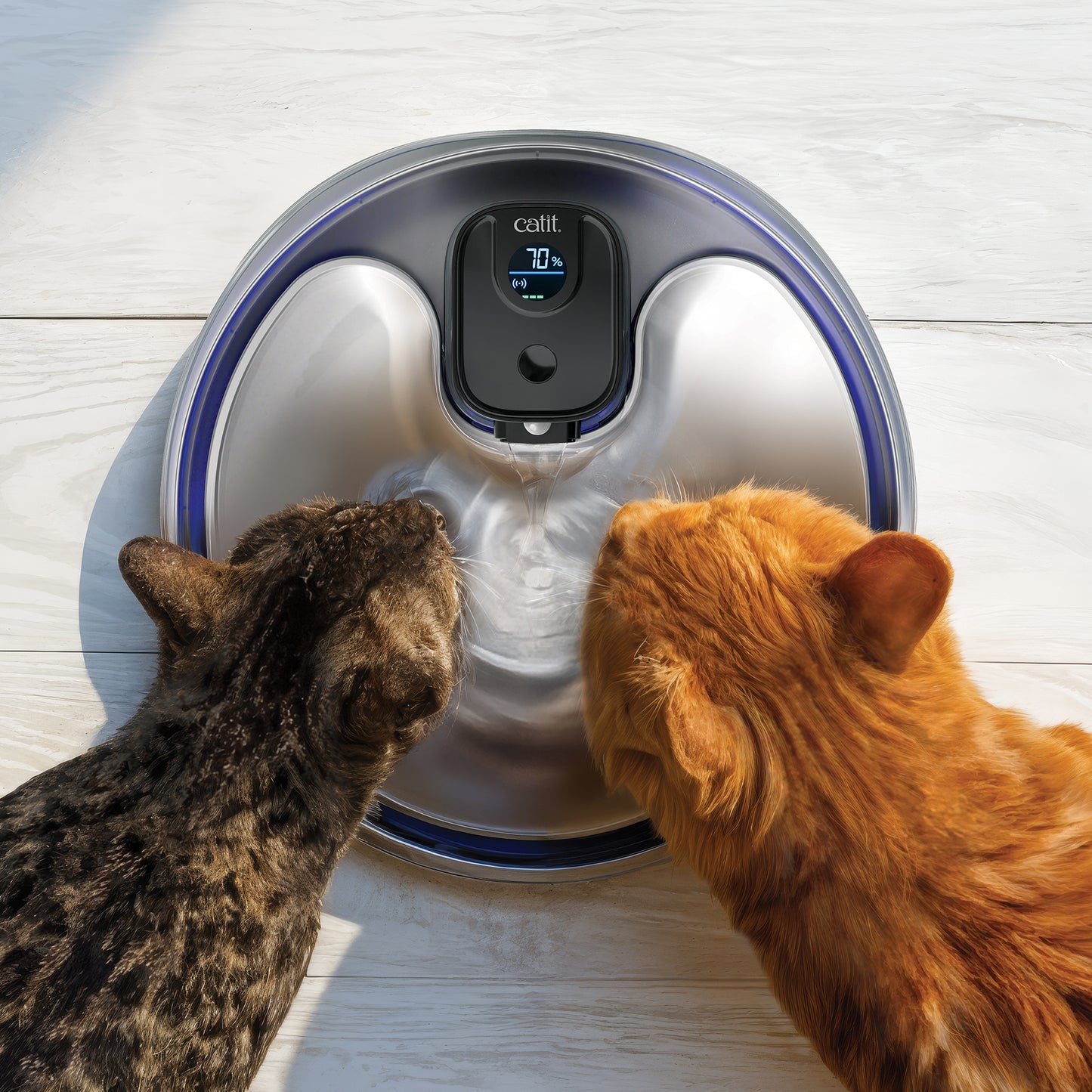 Catit - PIXI Cordless Stainless Steel UV-C Drinking Fountain - 5L (1.3gal)