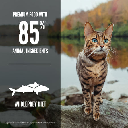 Champion Foods - Orijen SIX FISH Dry Cat Food - 1.8KG (3.97lb)