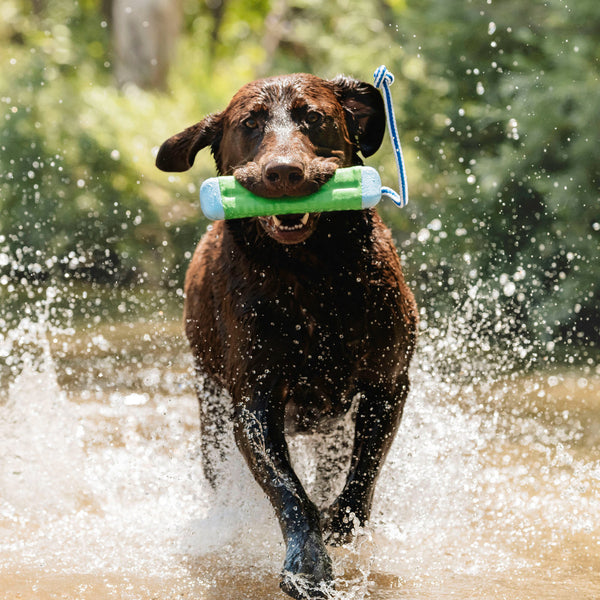 Chuckit! - Amphibious Bumper Dog Toy - MEDIUM - 23CM (9in)