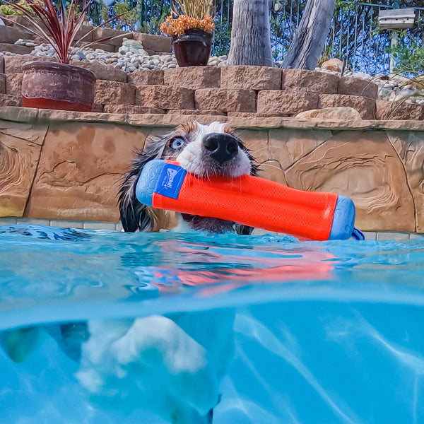 Chuckit! - Amphibious Bumper Dog Toy - MEDIUM - 23CM (9in)