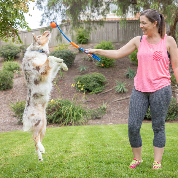 Chuckit! - Fetch & Fold Ball Launcher Dog Toy - MEDIUM - 63.5CM (25in)