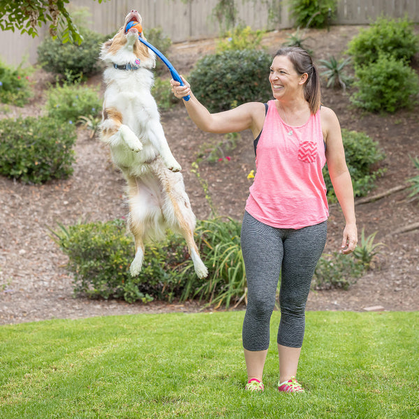 Chuckit! - Junior Ball Launcher Dog Toy - MEDIUM - 46CM (18in)
