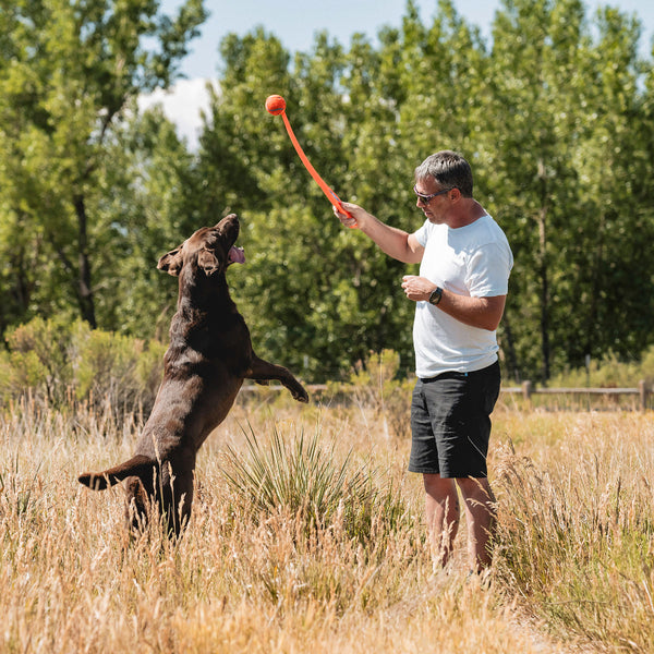 Chuckit! - Sport Ball Launcher Dog Toy - LARGE - 66CM (26in)