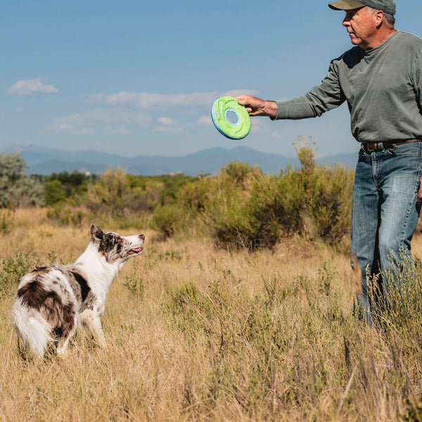 Chuckit! - Zipflight Dog Toy - MEDIUM - 21CM (8in)