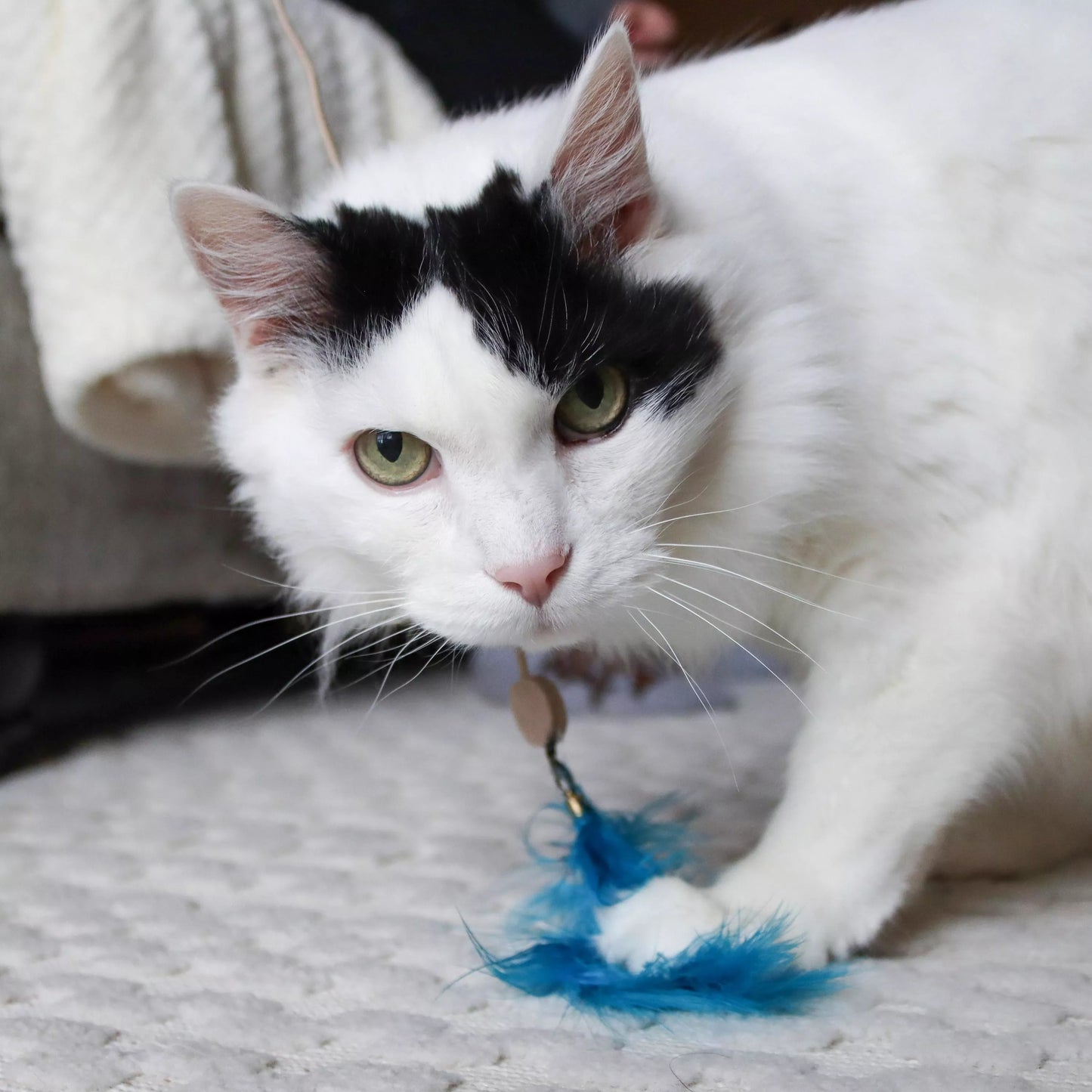 Coastal - Turbo Telescoping Wand with LED Pointer Cat Toy