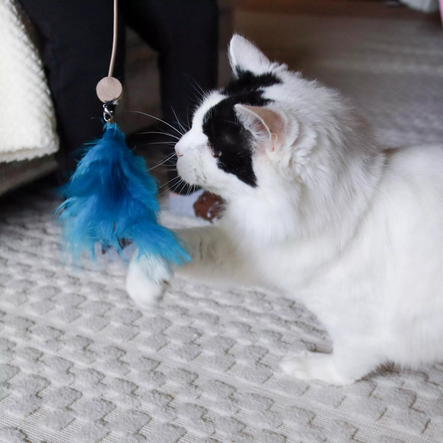 Coastal - Turbo Telescoping Wand with LED Pointer Cat Toy