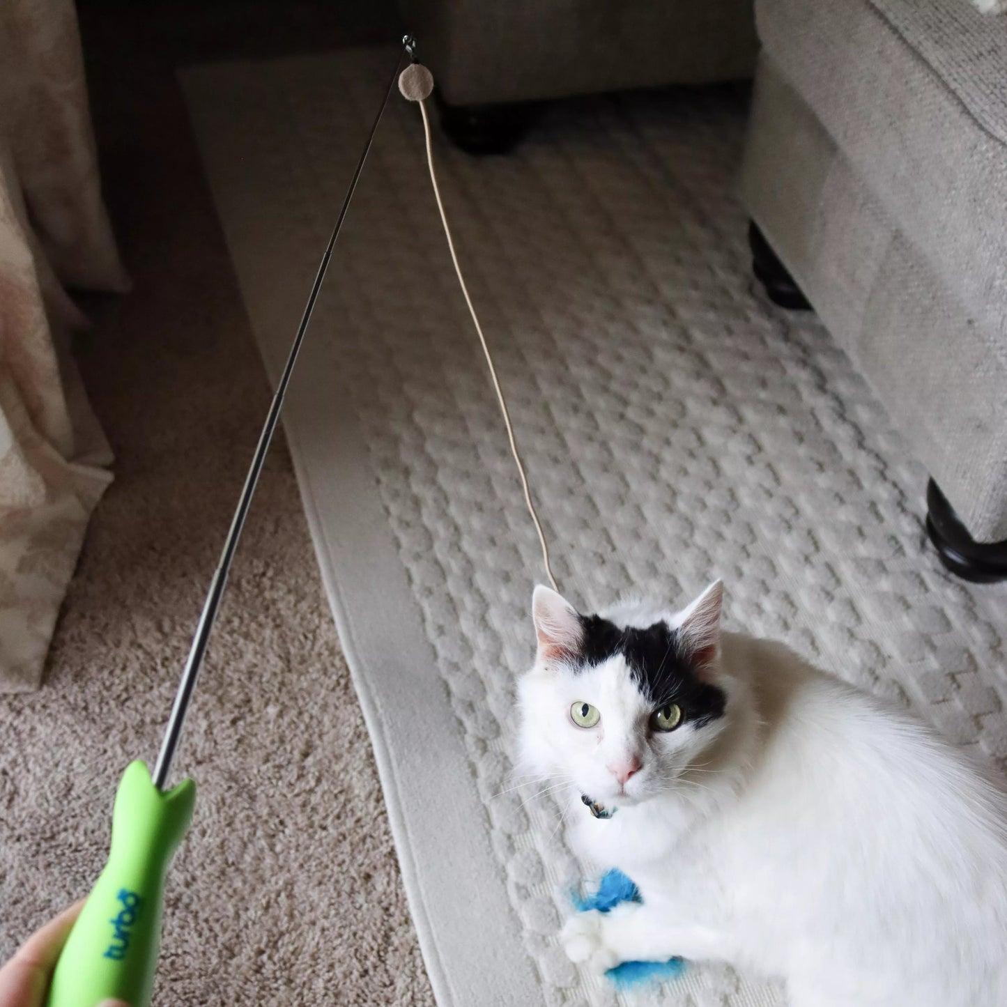 Coastal - Turbo Telescoping Wand with LED Pointer Cat Toy