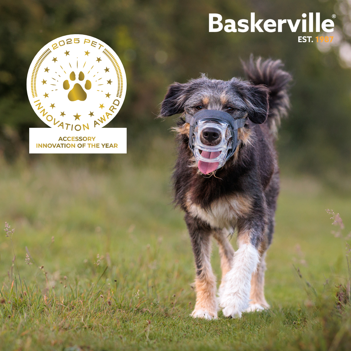 *PREORDER* Company of Animals - Baskerville Invisa Muzzle - Size 5