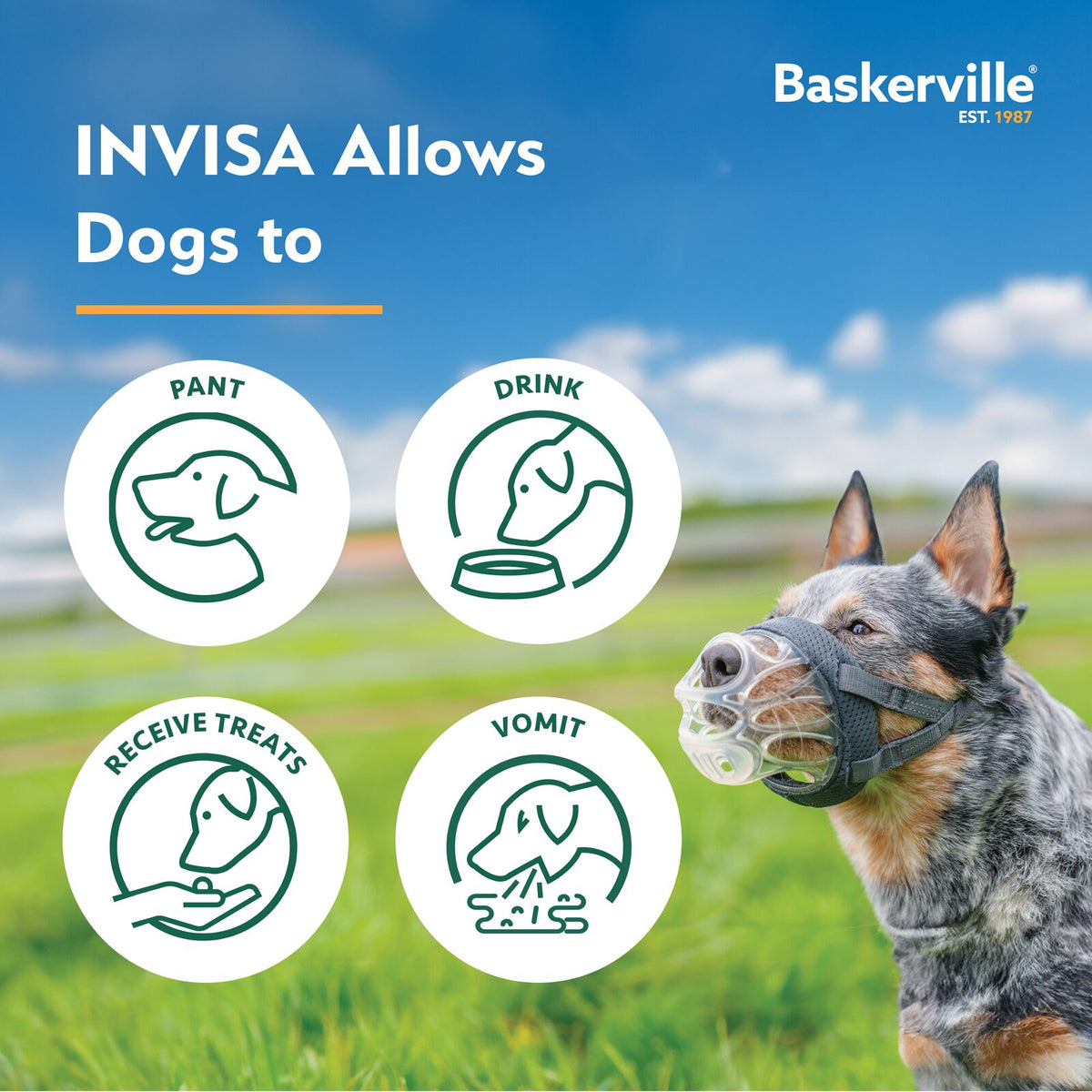 *PREORDER* Company of Animals - Baskerville Invisa Muzzle - Size 5