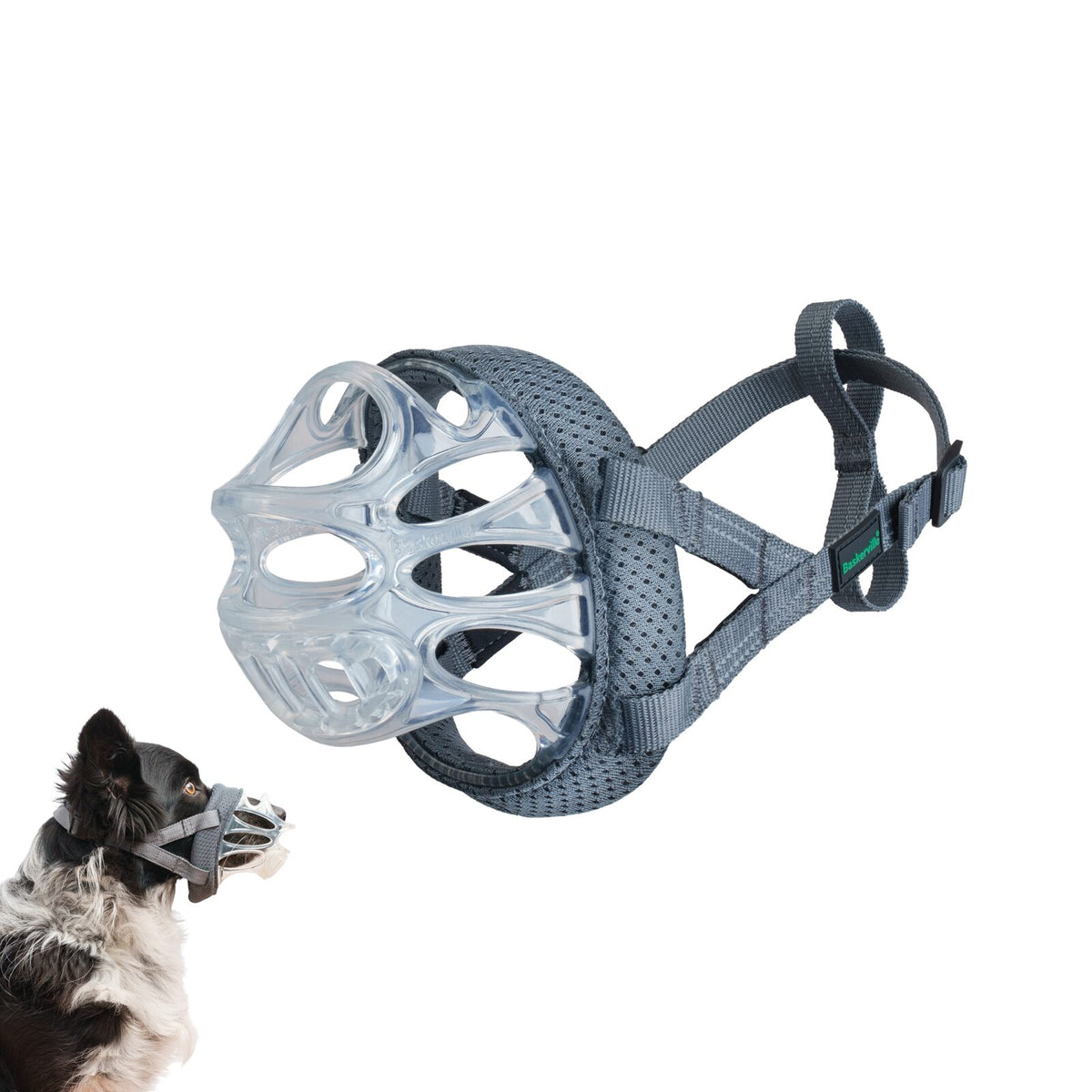 *PREORDER* Company of Animals - Baskerville Invisa Muzzle - Size 5