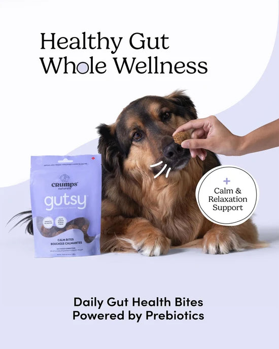 Crumps' Naturals - Gutsy CALM Bites Dog Treat - 130GM (4.6oz)