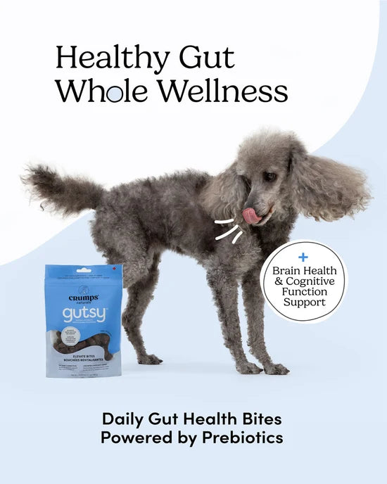 Crumps' Naturals - Gutsy ELEVATE Bites Dog Treat - 190GM (6.7oz)