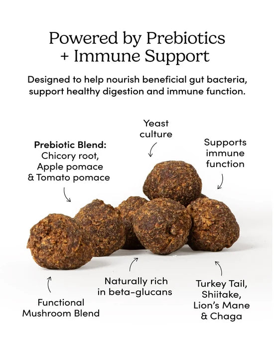 Crumps' Naturals - Gutsy IMMUNE Bites Dog Treat - 130GM (4.6oz)