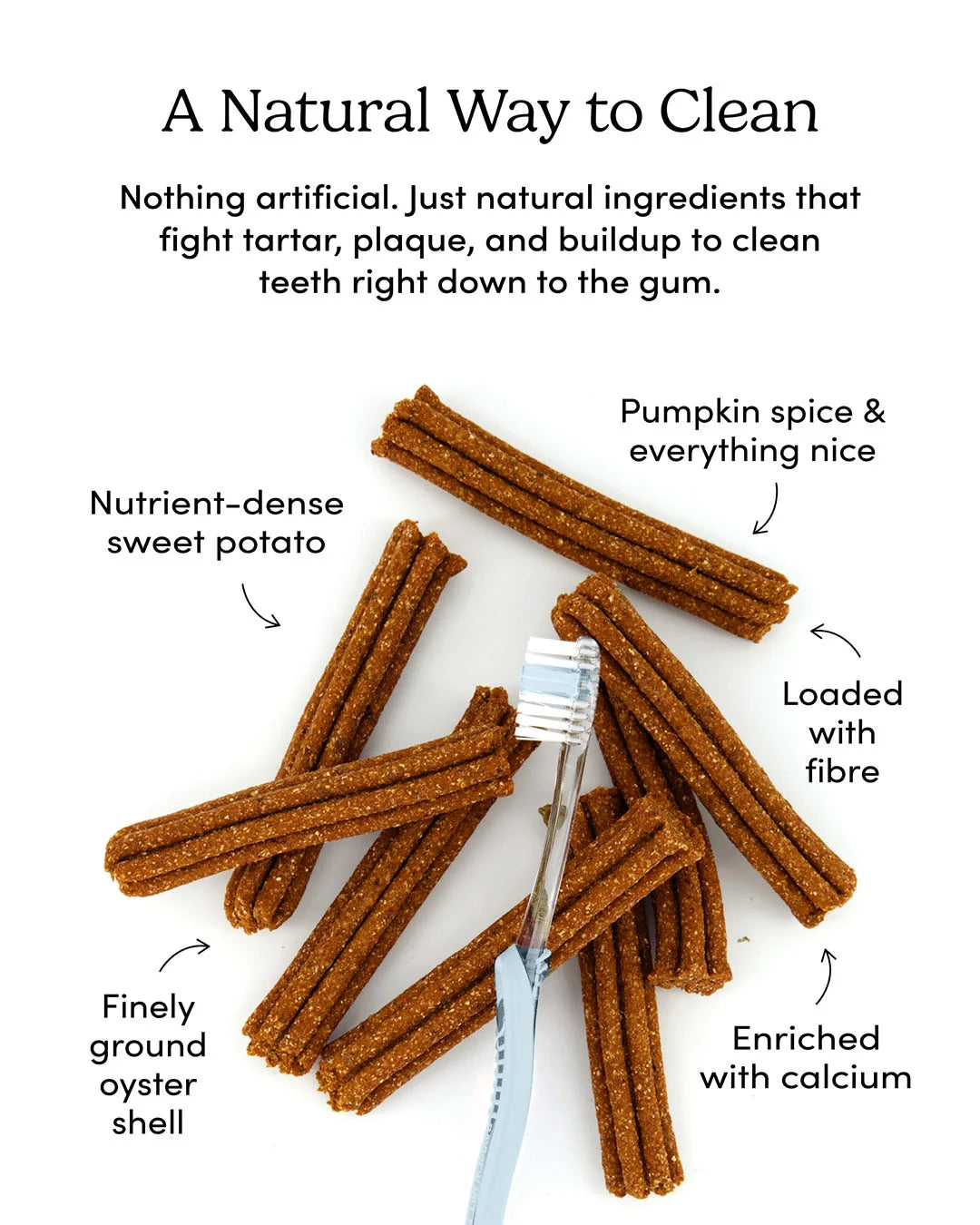 Crumps' Naturals - Plaque Busters PUMPKIN SPICE Dog Treat - 18CM (7in) - 10PK