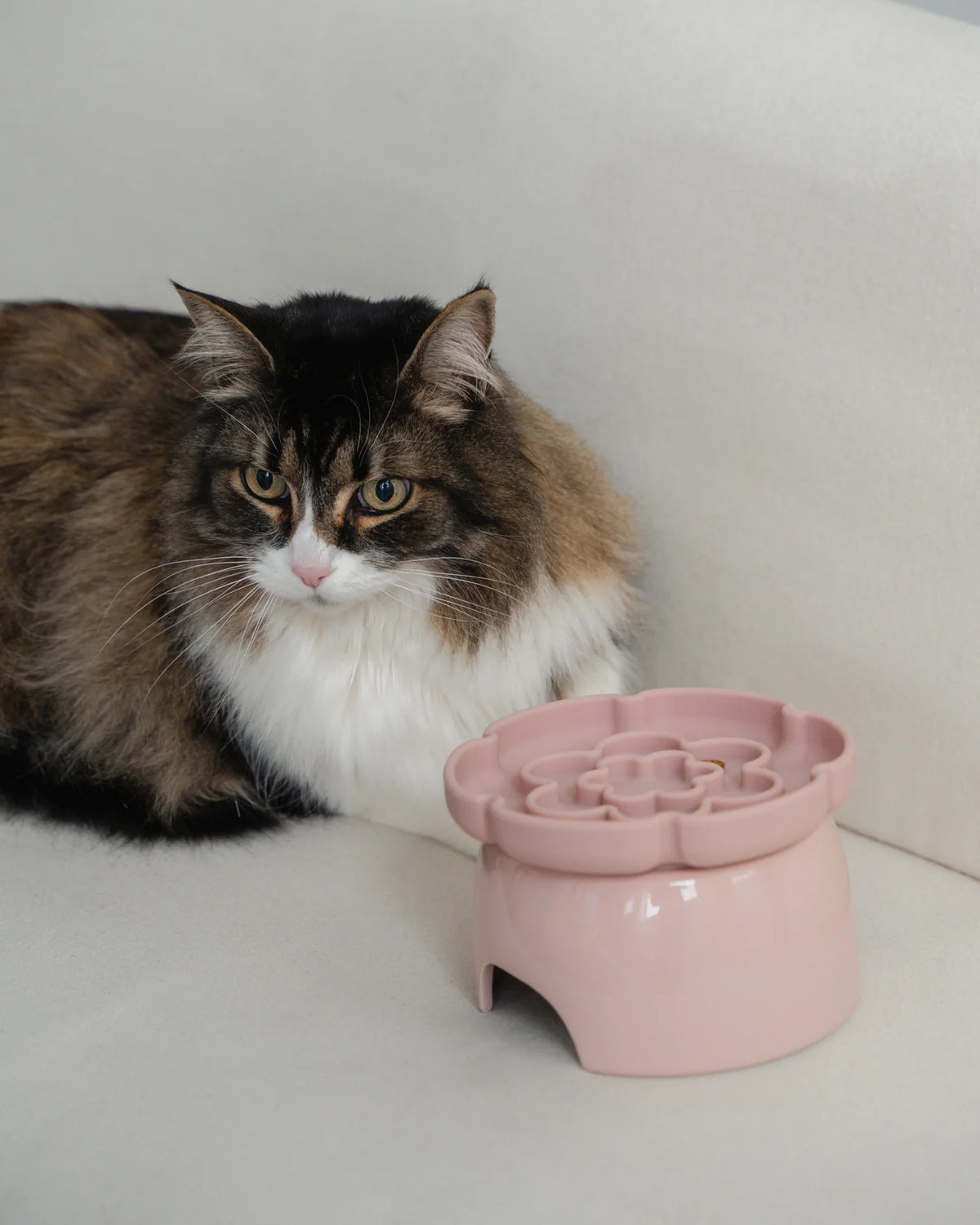 *PREORDER* Dexypaws - Cat Elevated Slow Feeder Flower Dish - BLUSH PINK - 205ML (7oz)
