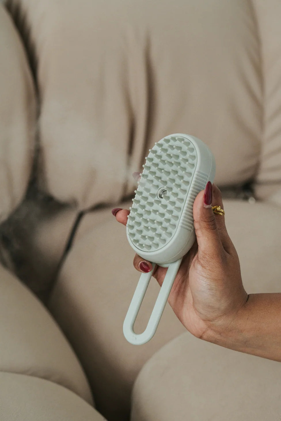 Dexypaws - Spritz & Brush Curry Comb