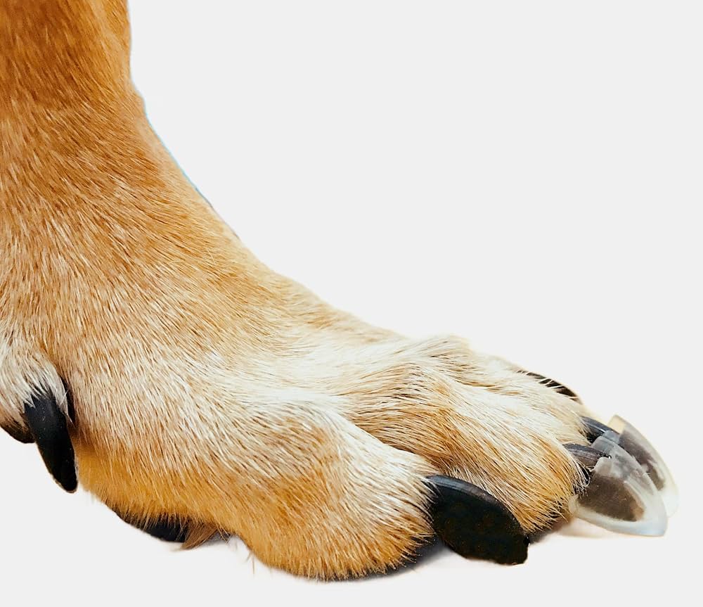 Dog Toe Grips - SMALL - 24 Pack