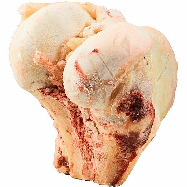 Frozen - K9 Choice - BUFFALO KNUCKLE BONE Dog Chew