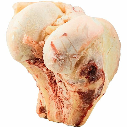 Frozen - K9 Choice - BUFFALO KNUCKLE BONE Dog Chew