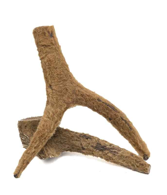 Furever Pure, Solid ELK ANTLER (Velvet) Dog Chew, LARGE, 15-23CM (6-9in)