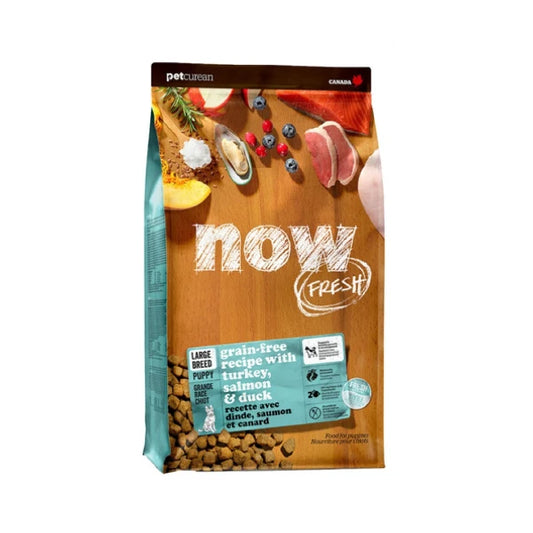 Petcurean - NOW  TURKEY SALMON DUCK LARGE BREED Dry PUPPY Food