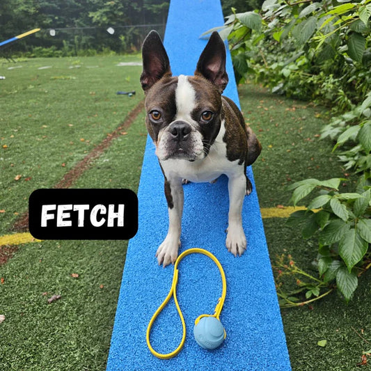 *DNR* Get Dirty Pet Gear - Tiny Toss & Play BioThane® Ball Tug - 48CM (19in)